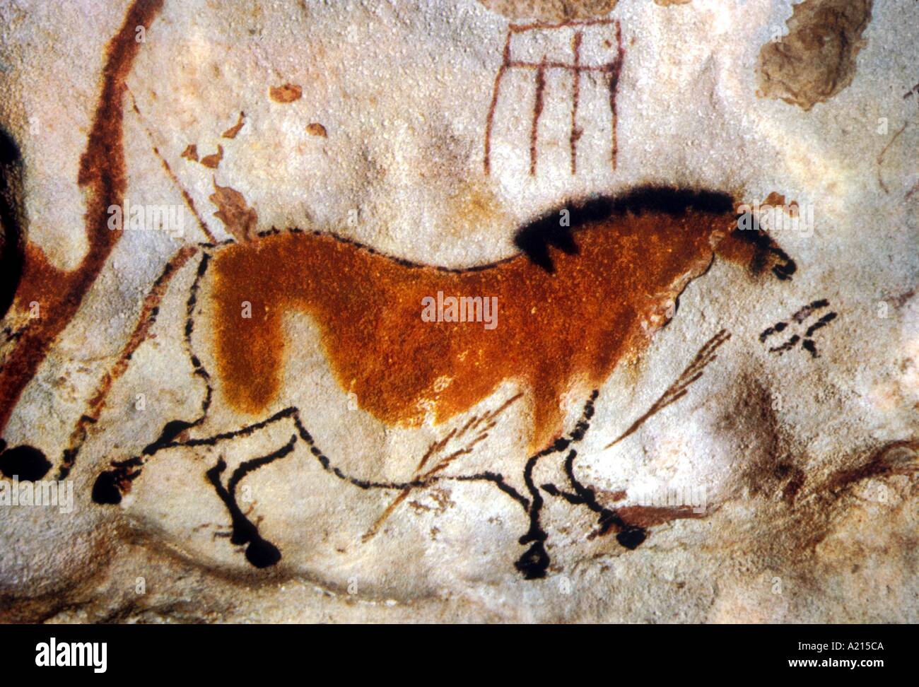 Pintura rupestre de Lascaux Aquitania Francia RHPL Fotografía de stock -  Alamy