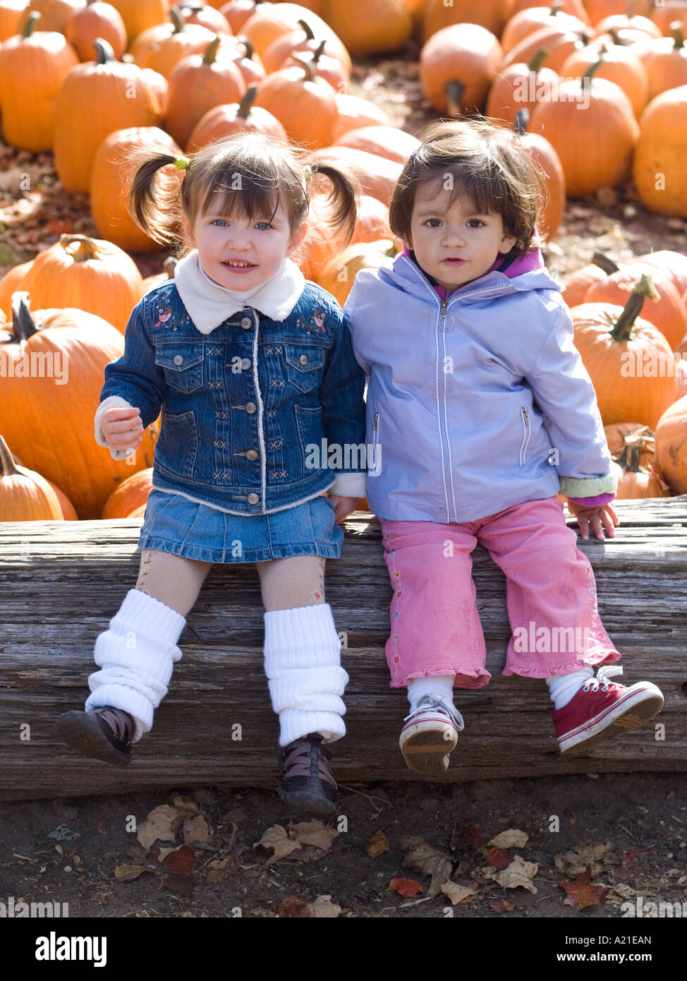 Las niñas sentadas en Pumpkin Patch Foto de stock