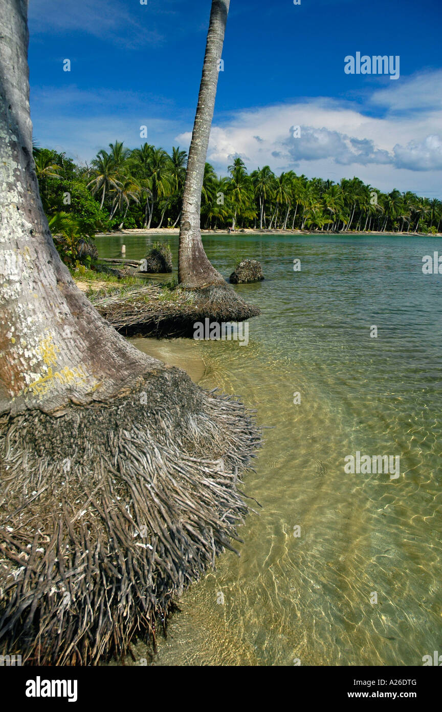 La playa de Boca del Drago, Playa de las Estrellas, Isla Colón