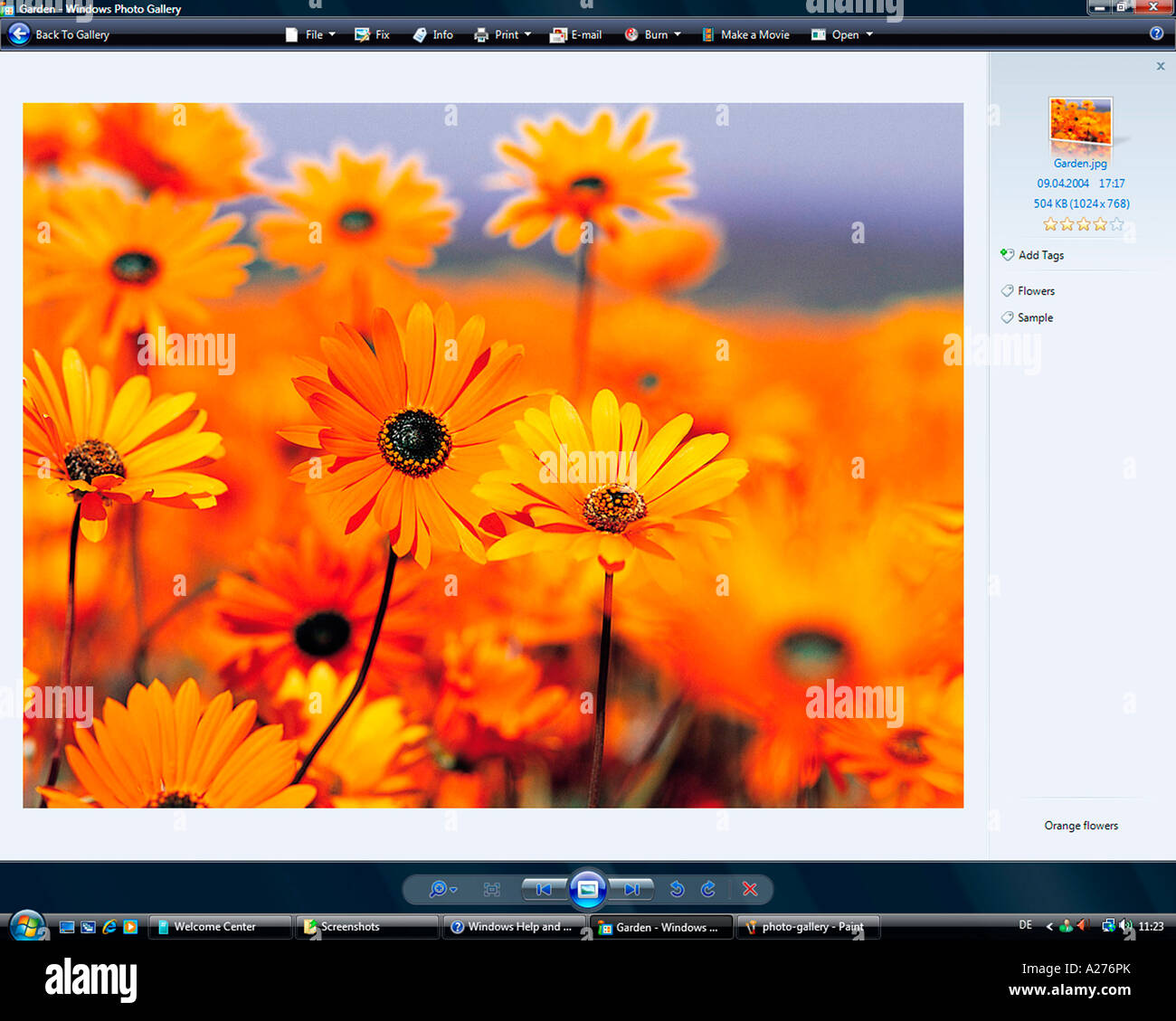 Microsoft Windows Vista, versión en inglés, la Galería fotográfica de  Windows Application, captura de pantalla Fotografía de stock - Alamy