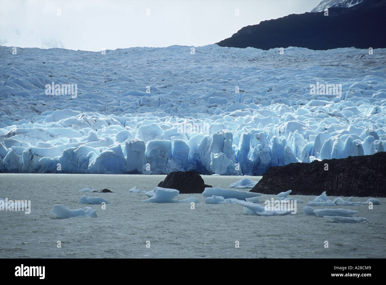 Glaciar Grey, Lago de Grey, Chile Foto de stock