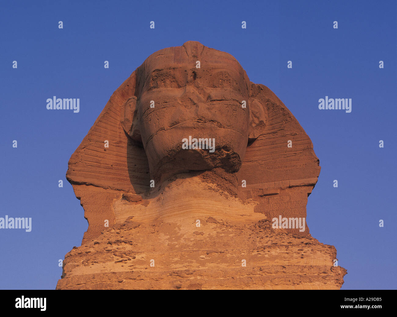 Esfinge de Gizeh Egipto África S Grandadam cabeza Foto de stock