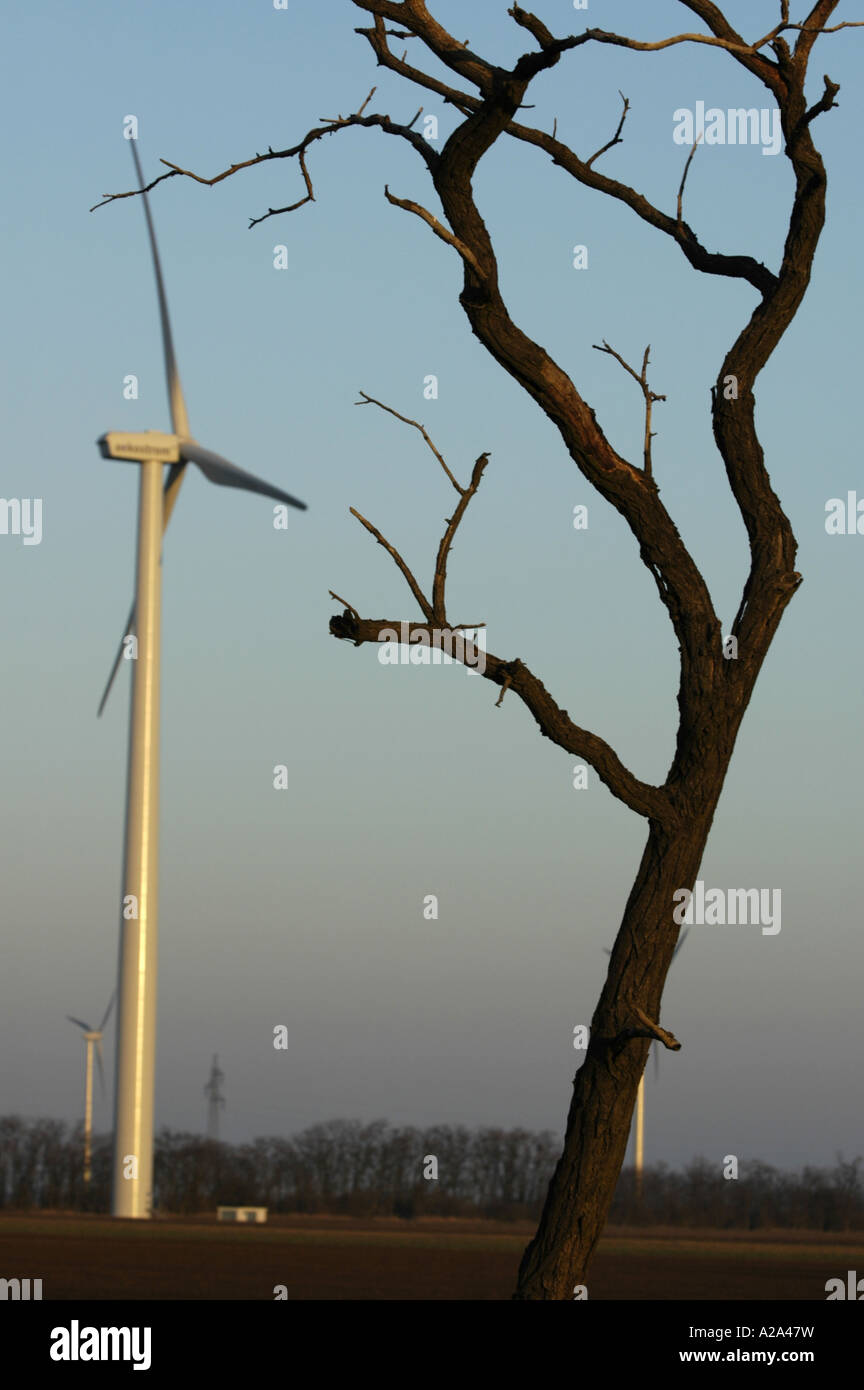 Los árboles muertos la planta de energía eólica aerogenerador Foto de stock