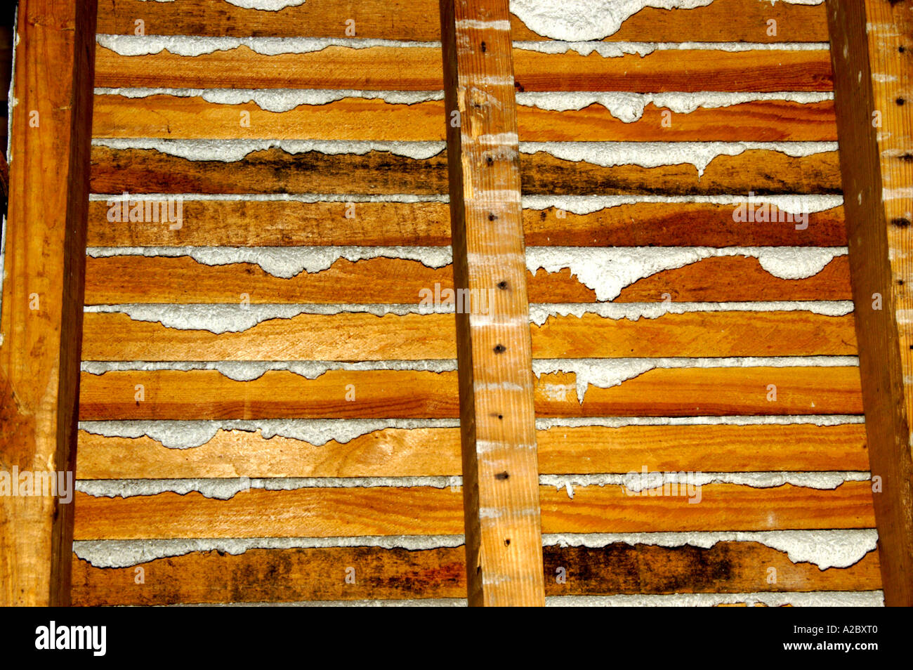Vista trasera de la vieja pared de yeso mostrando espárragos y listones Foto de stock