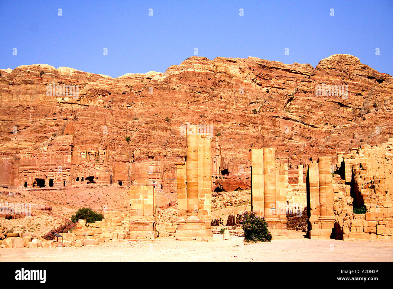 Edificios de piedra tallada Petra Jordania Oriente Medio Foto de stock
