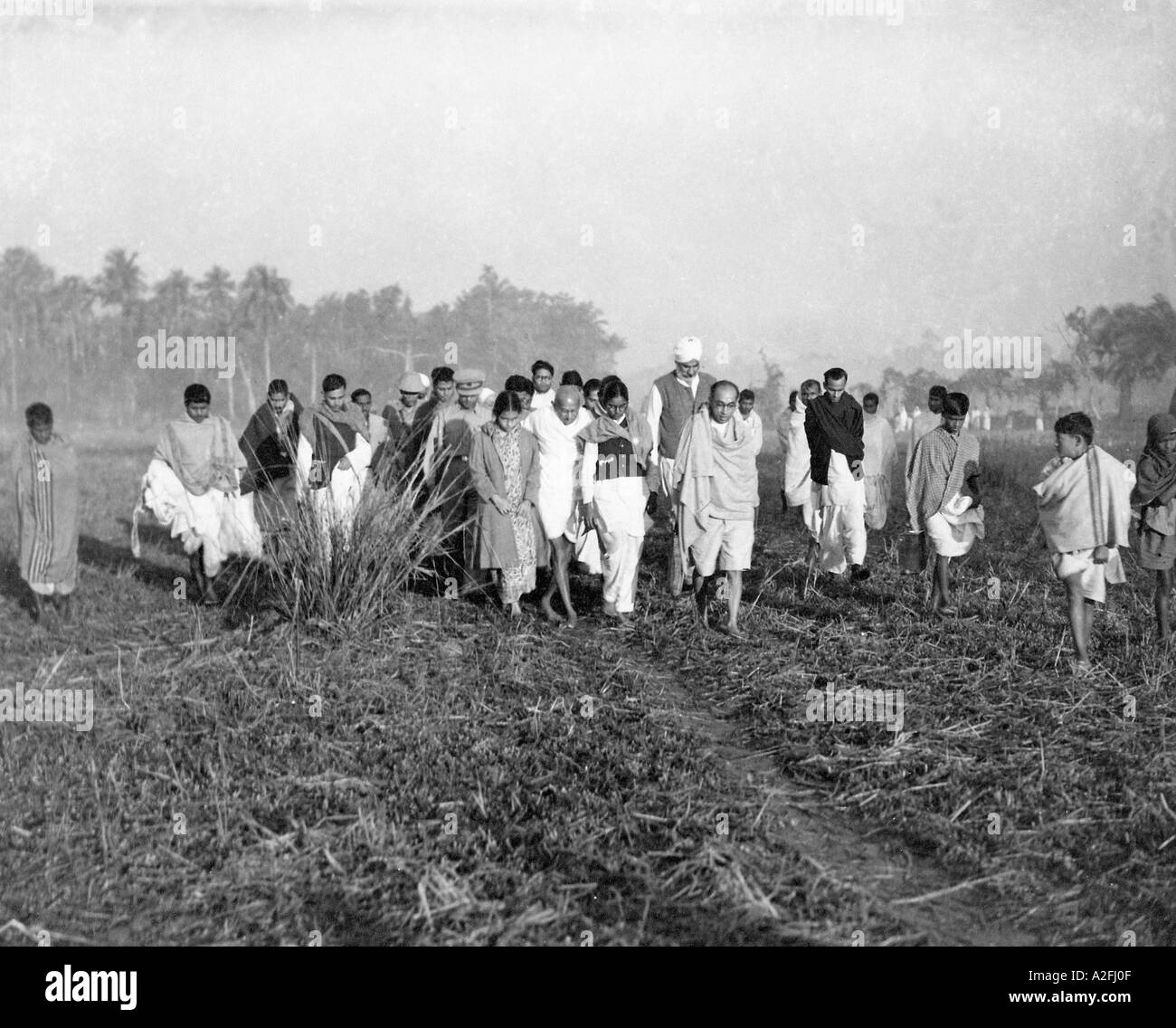 Mahatma Gandhi marcha por la paz a través de los campos de Noakhali, Bengala Occidental, India, 1946 de diciembre, foto de la vieja cosecha de 1900s Foto de stock