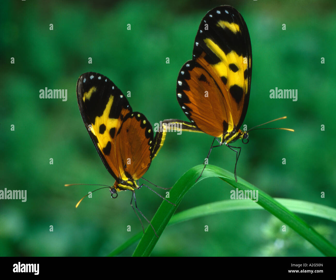 My Image 9