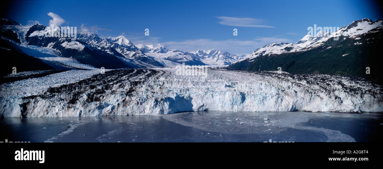 El glaciar de Harvard que fluye de las montañas Chugach en College Fjord, el Bosque Nacional de Chugach, Alaska Foto de stock