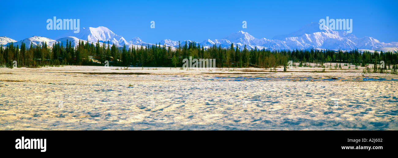 Trapper Creek y el monte McKinley en Alaska Foto de stock