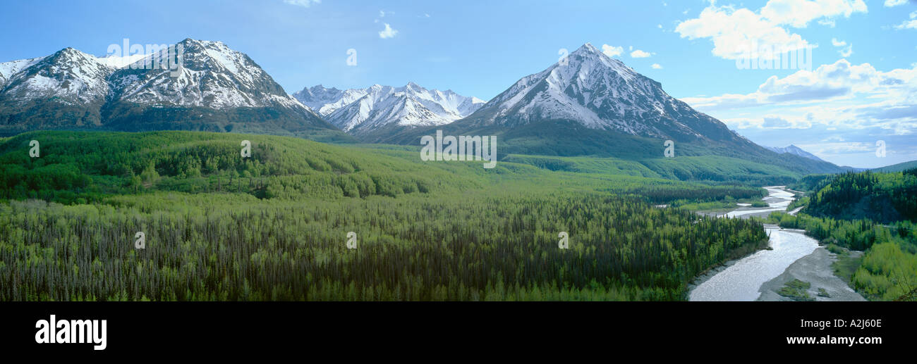 El verde de los bosques y montañas nevadas en el valle del río Matanuska Alaska Foto de stock