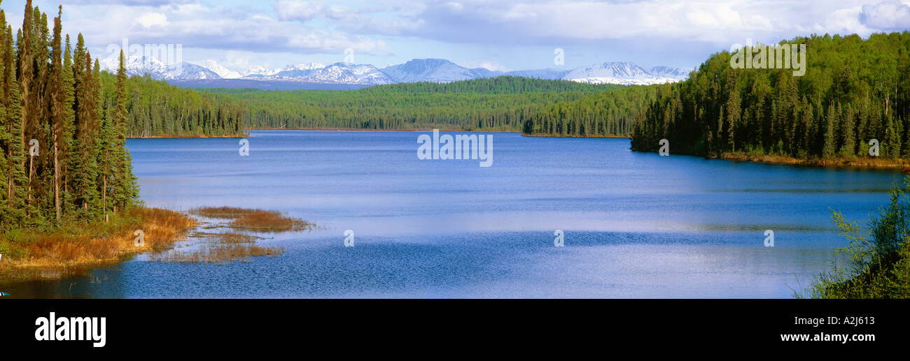 Lago Talkeetna Alaska Foto de stock