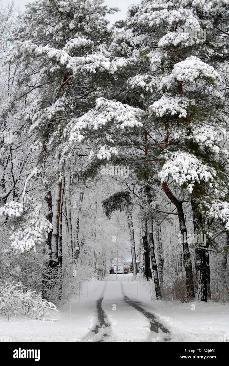 Después de una escena de invierno la nieve húmeda Michigan Foto de stock