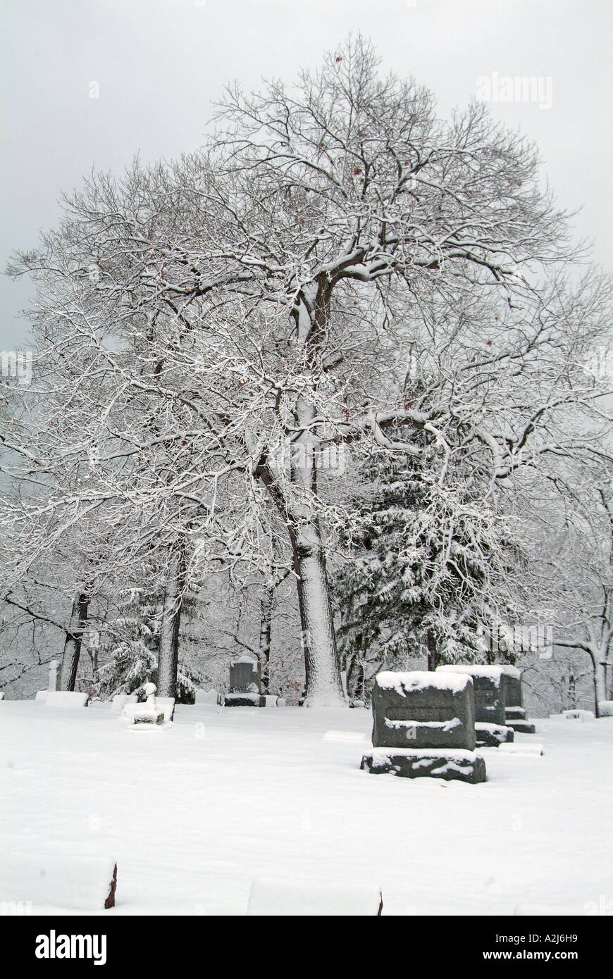 Después de una escena de invierno la nieve húmeda Michigan Foto de stock