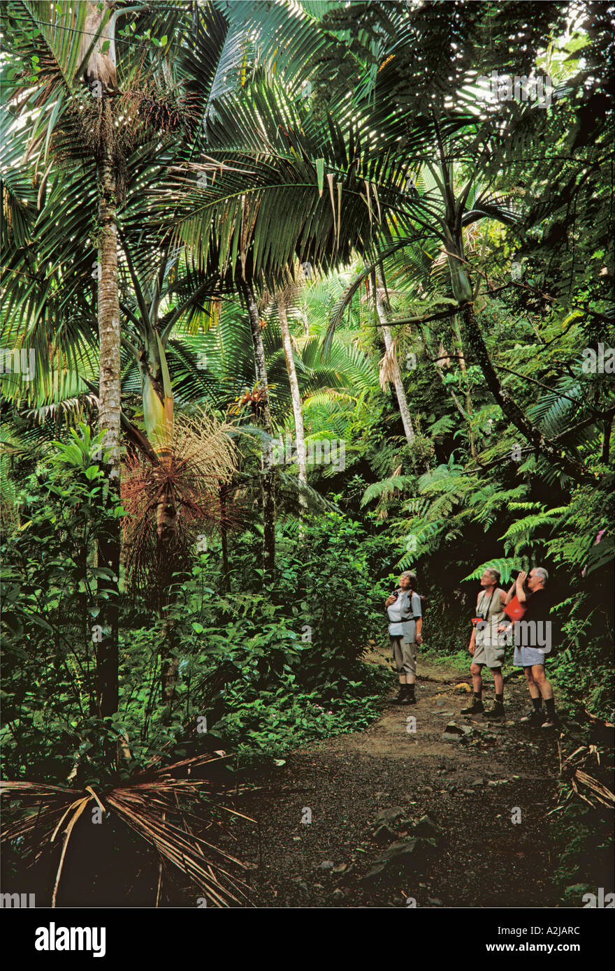 Senderismo el yunque fotografías e imágenes de alta resolución Alamy