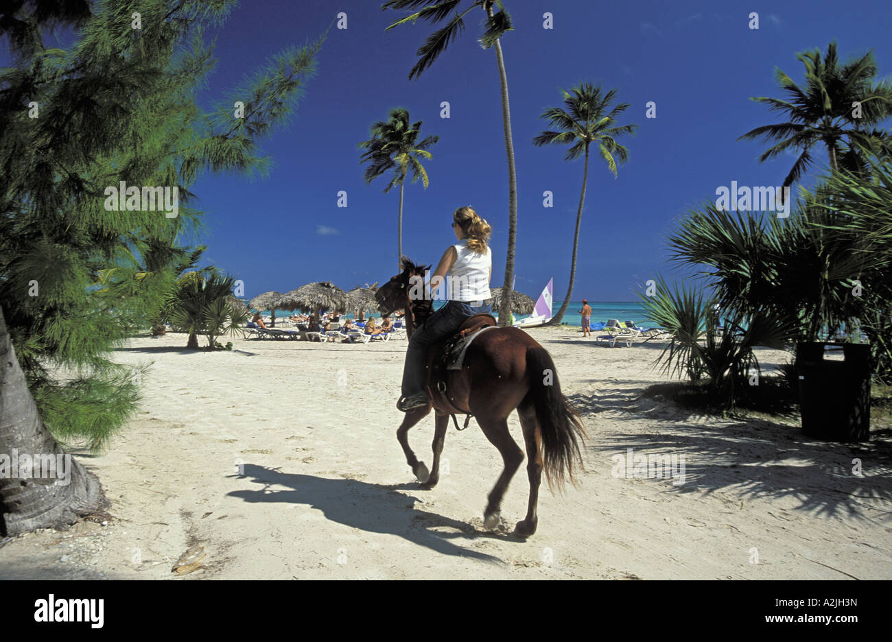 Un solo ciclista en la playa, en el Puntacana Resort y Club de República Dominicana Caribe DR West Indies Foto de stock