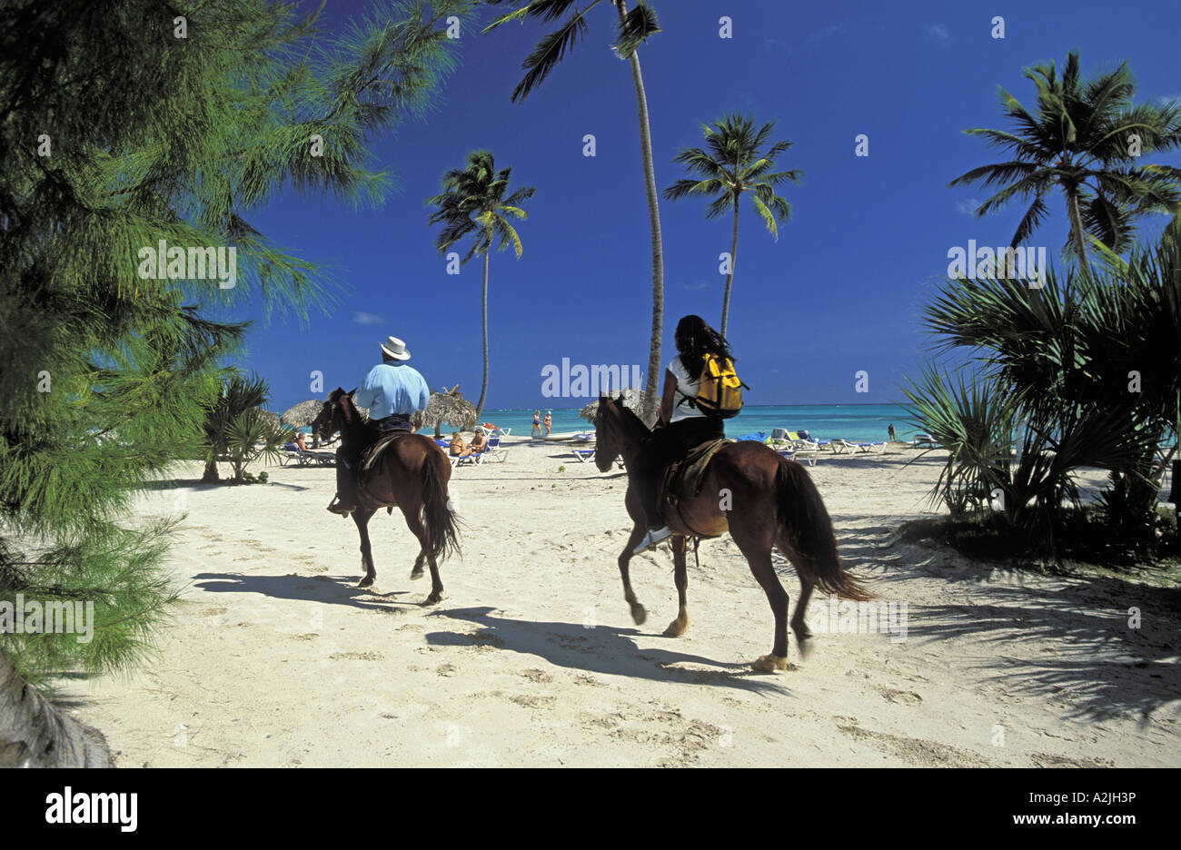 A Caballo en la playa, en el Puntacana Resort and Club Foto de stock