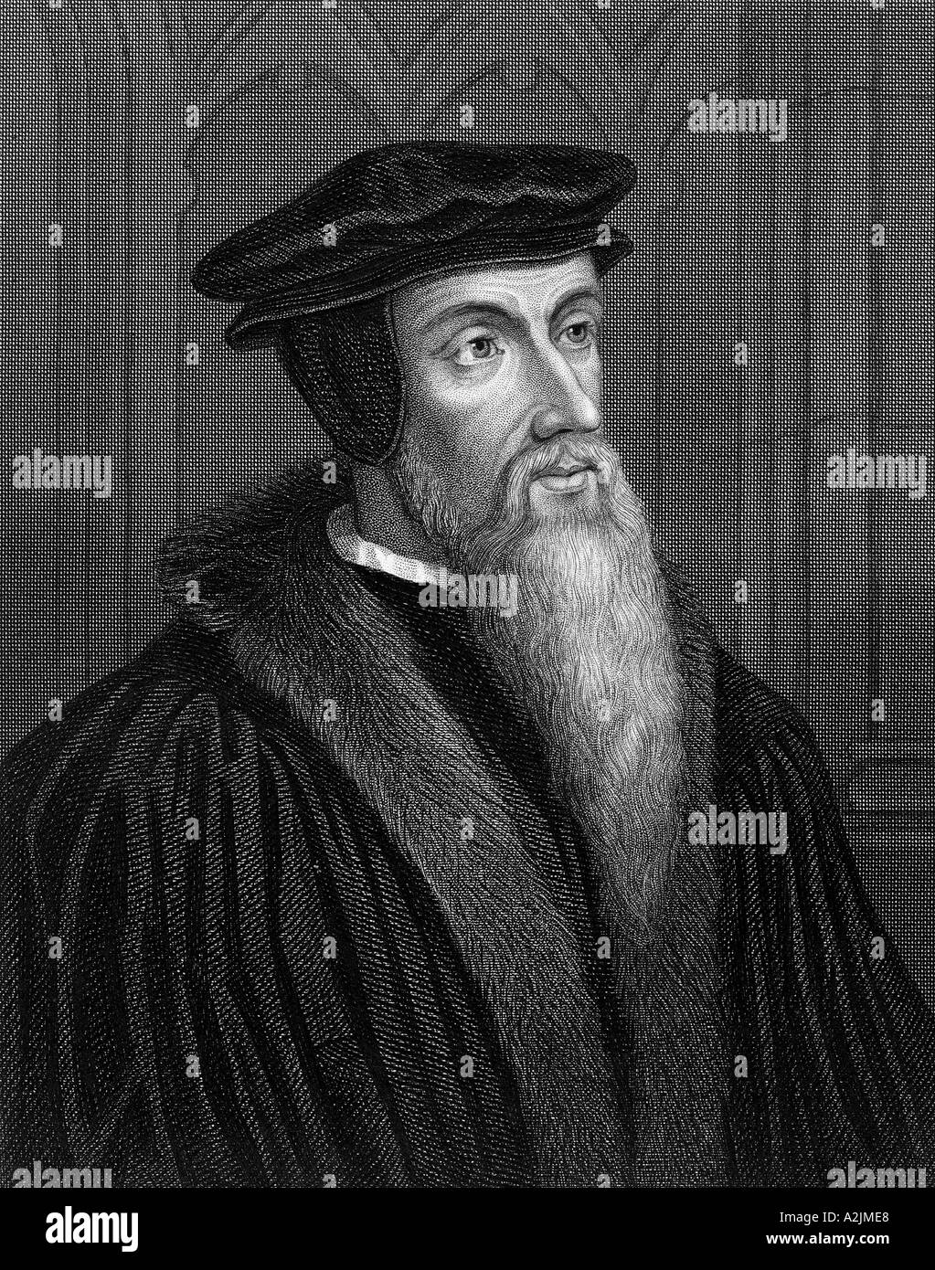 Juan Calvino teólogo francés 1509 64 Foto de stock