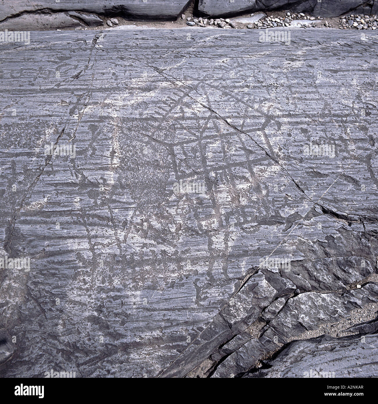 Pinturas rupestres en roca, Val Camonica, Lombardía, Italia Fotografía de  stock - Alamy