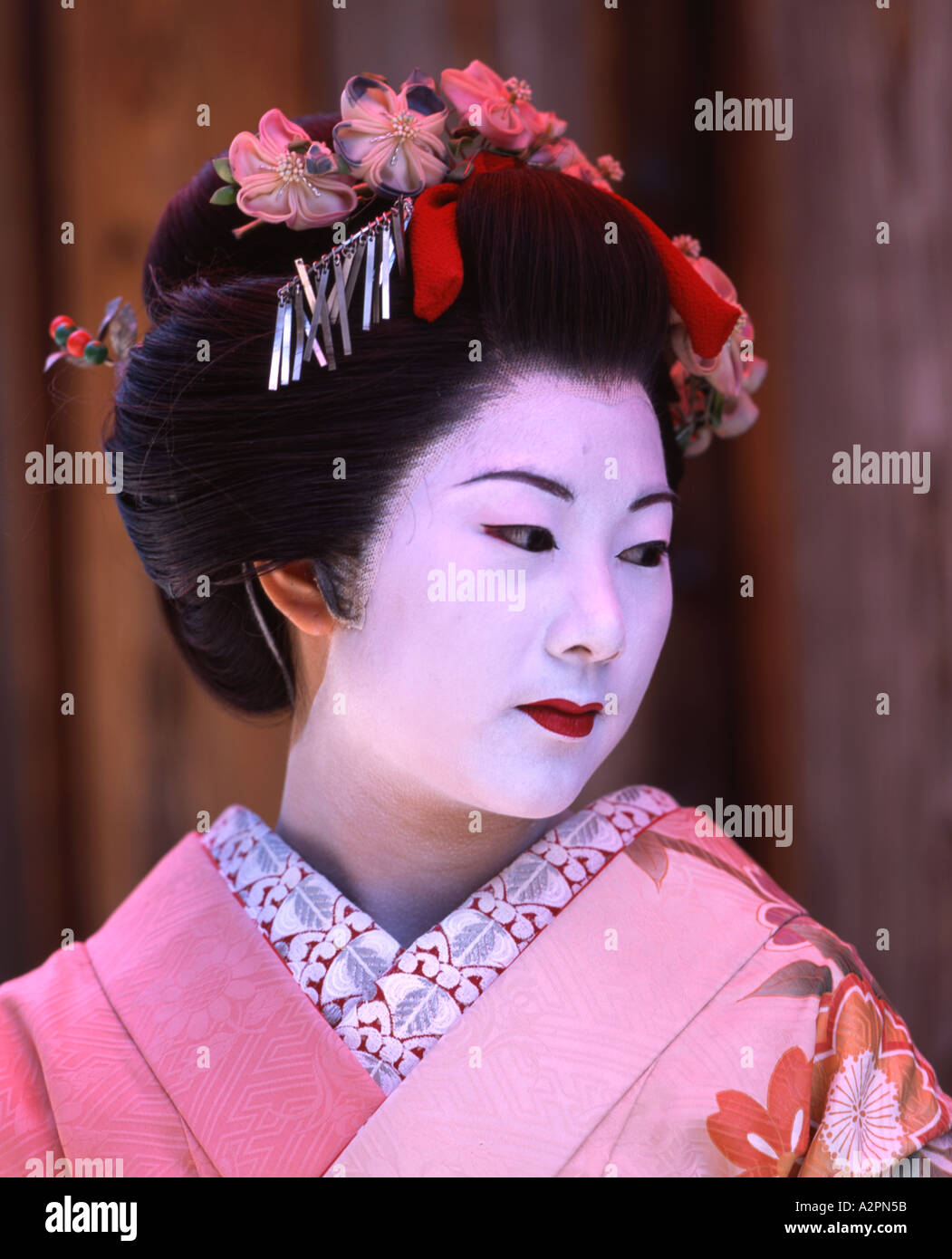 Niña maiko en aprendiz en traje de geisha en el jardín japonés de Kyoto  Gion vistiendo un kimono obi peluca sombrilla maquillaje pintalabios  Fotografía de stock - Alamy