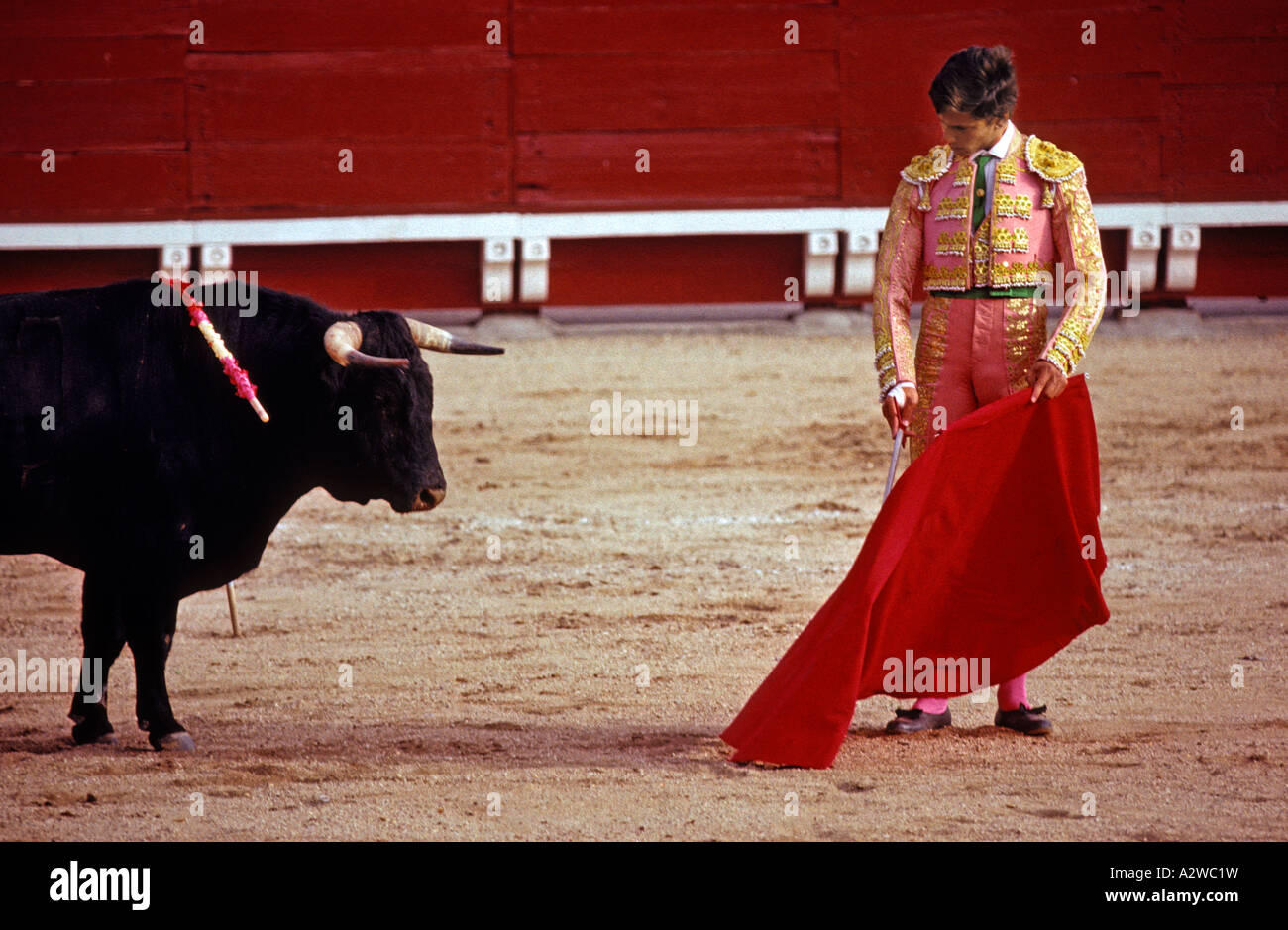España Toledo una corrida de toros Foto & Imagen De Stock España, Kastilien La Mancha, Toledo, arena, bloqueo, torero
