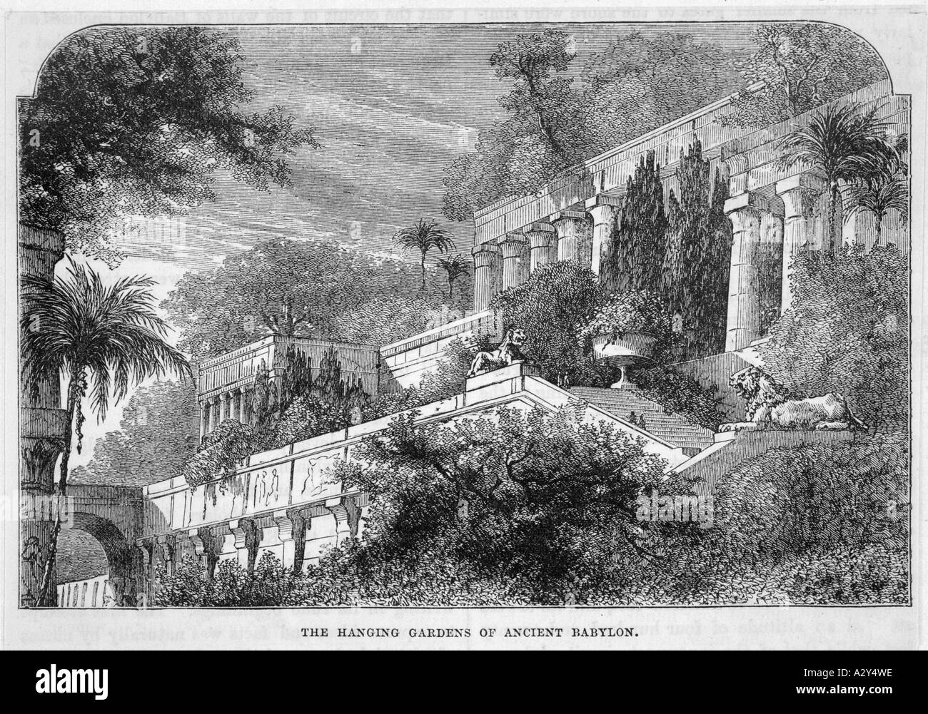 Jardines colgantes de babilonia Imágenes de stock en blanco y negro - Alamy