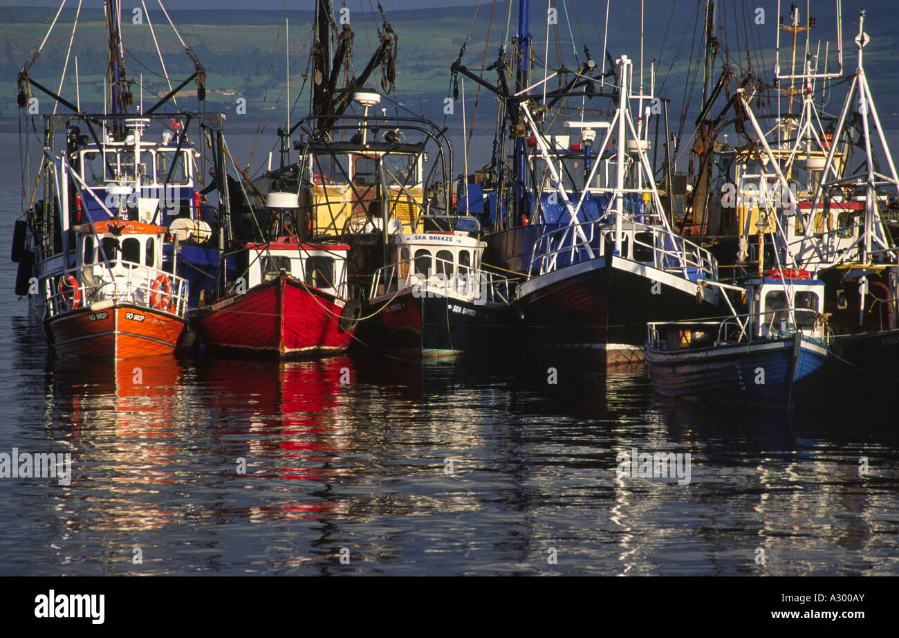 Los arrastreros de pesca en Greencastle Harbour. Inishowen, Condado de Donegal, Irlanda. Foto de stock