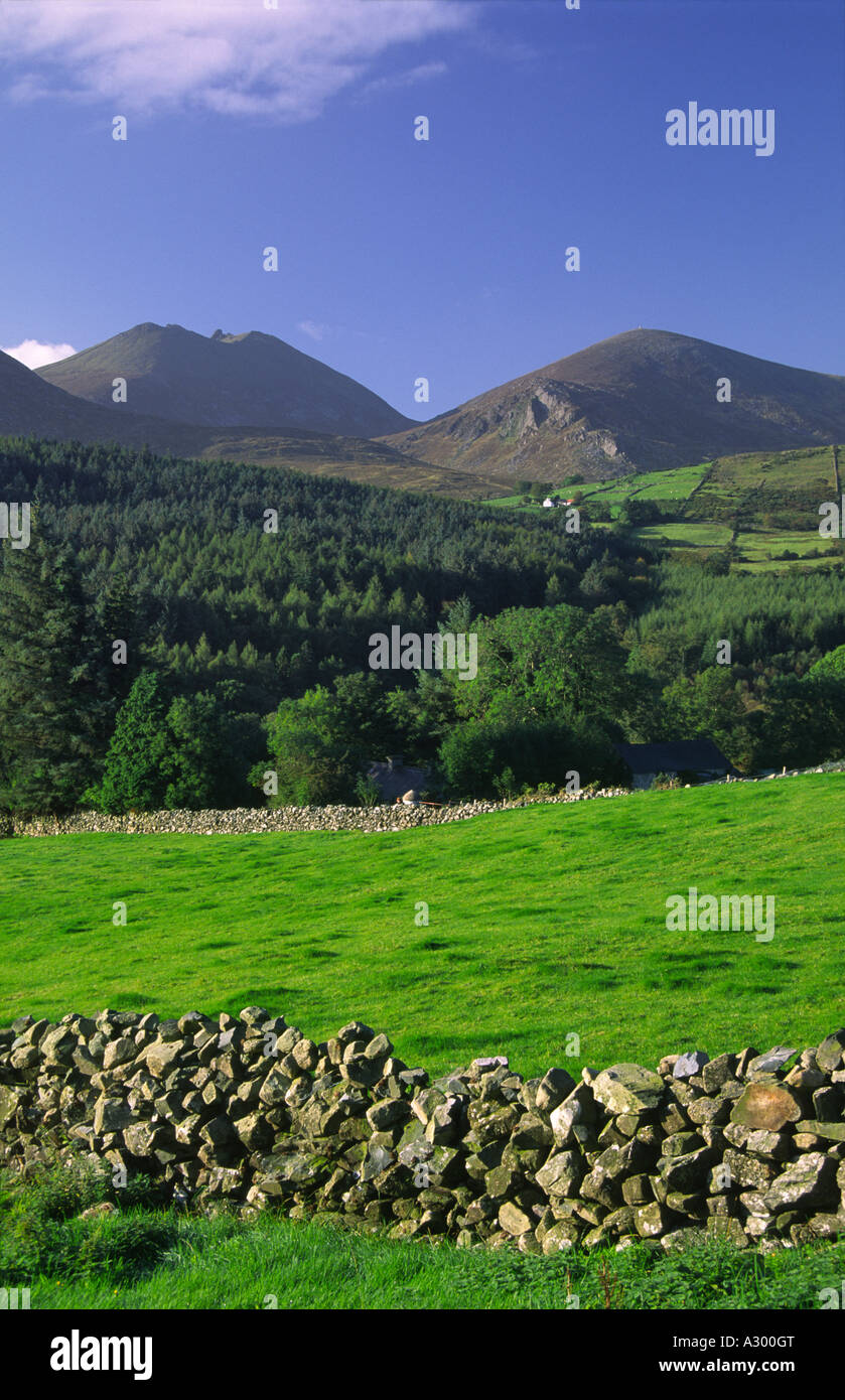 Campos Verdes debajo de las montañas de Mourne. El condado de Down, Irlanda del Norte, REINO UNIDO Foto de stock