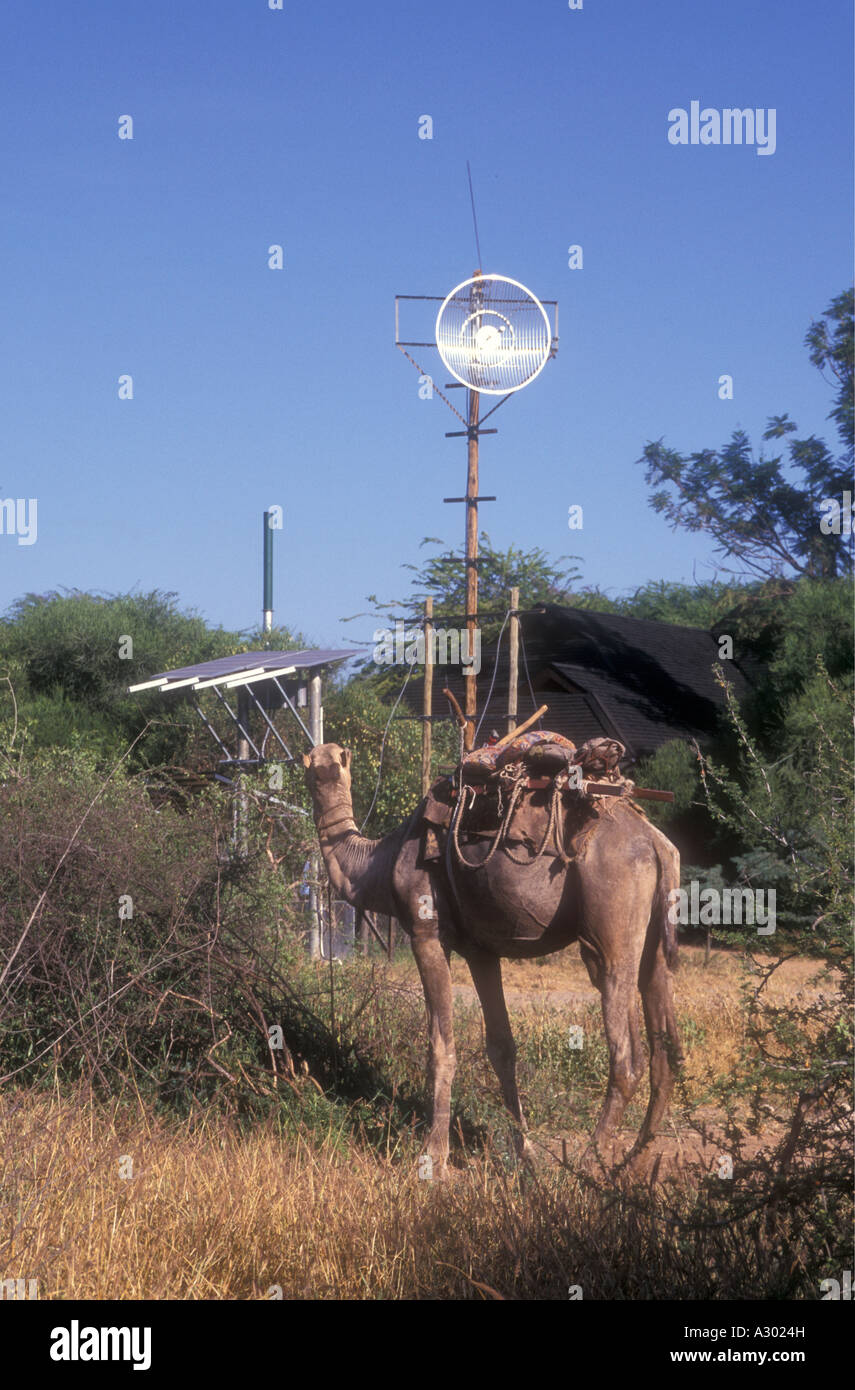 Camello y antena para un enlace de radio teléfono con un panel solar Reserva Nacional de Samburu Kenia África Oriental Foto de stock