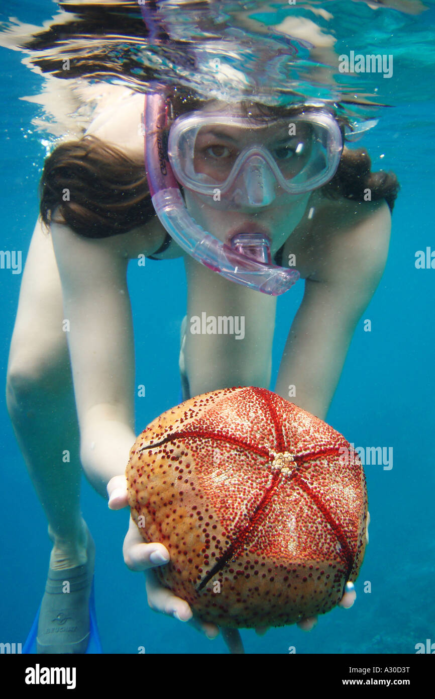 Snorkel Chica sujetando un erizo de mar hacia la cámara Fotografía de stock  - Alamy