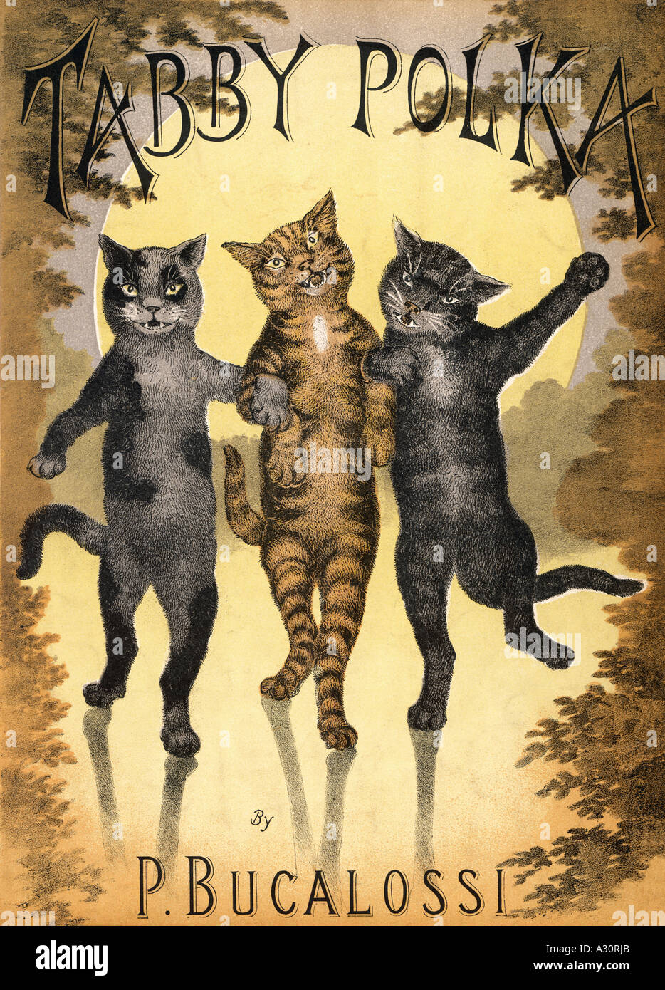 Gatos bailando fotografías e imágenes de alta resolución - Alamy