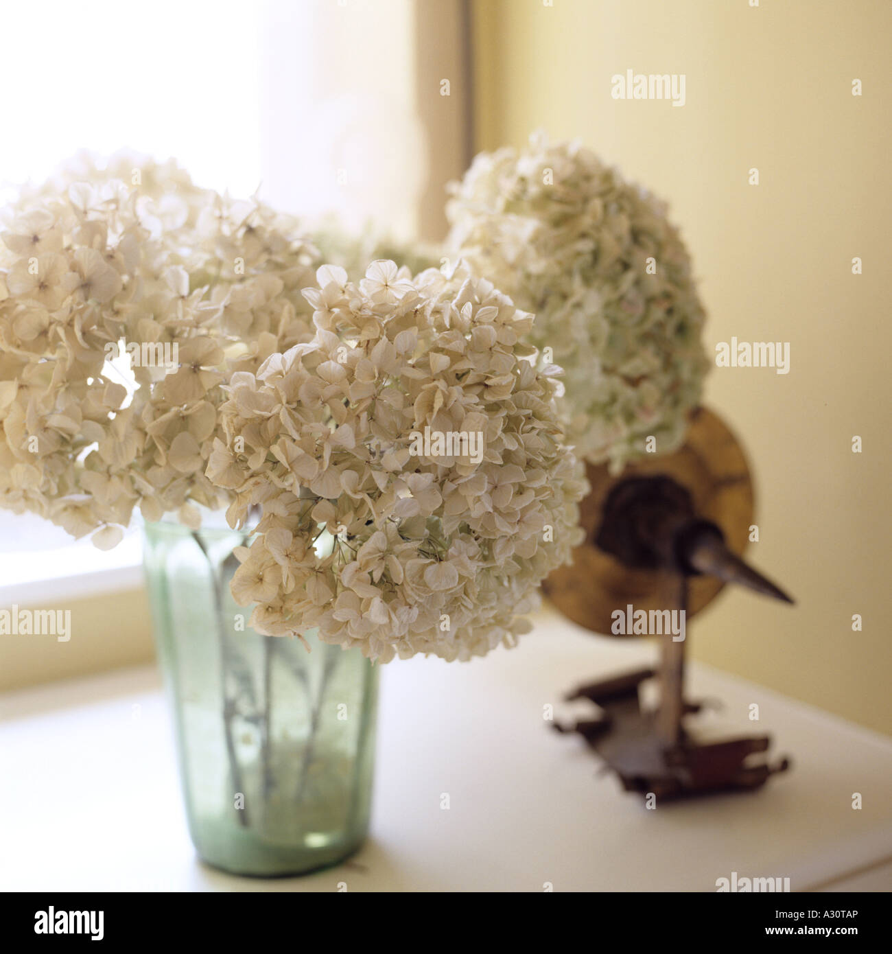 Jarrón con flores secas decoración en el baño, España Fotografía de stock -  Alamy