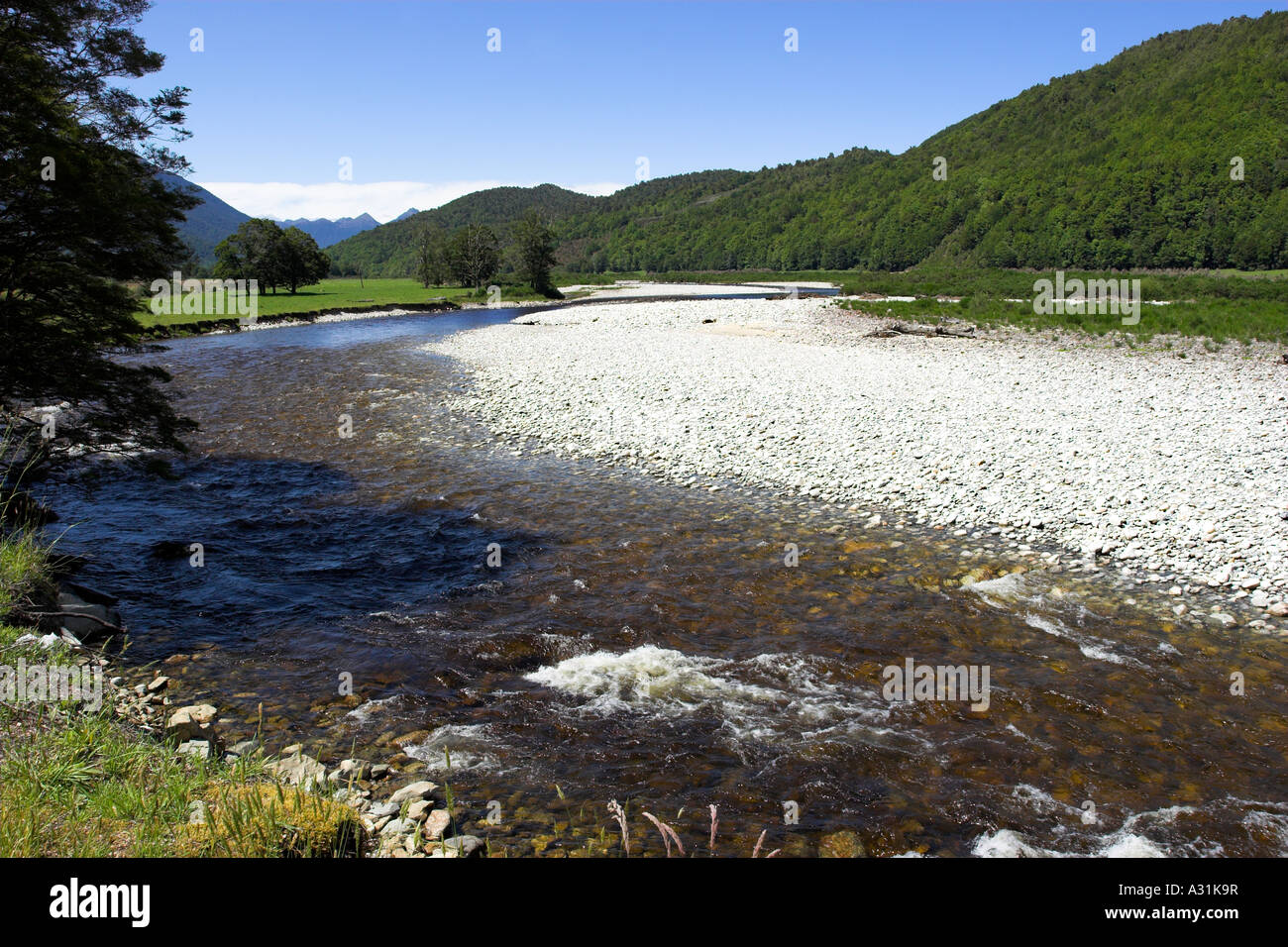La parte superficial del río cerca de Reefton Inangahua en la Isla del Sur, Nueva Zelanda Foto de stock
