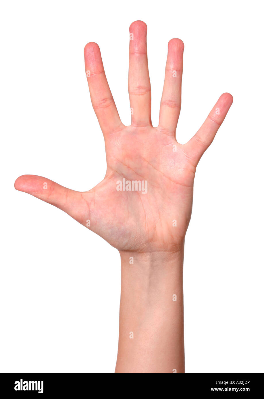 Cuatro dedos y el pulgar Foto de stock