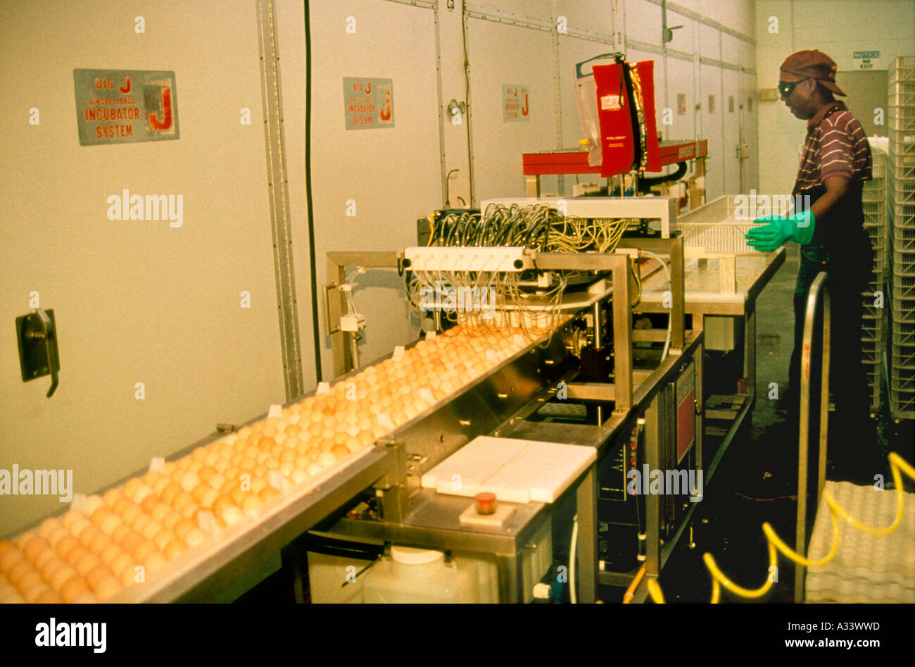Máquina incubadora de huevos industrial fotografías e imágenes de alta  resolución - Alamy