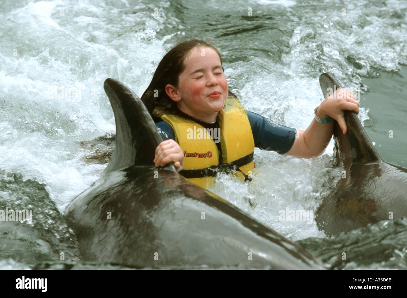 Una chica está sujetando las aletas dorsales de los delfines que tira de ella a través de la marina en el Teatro del Mar en Islamorada Florida Keys Foto de stock