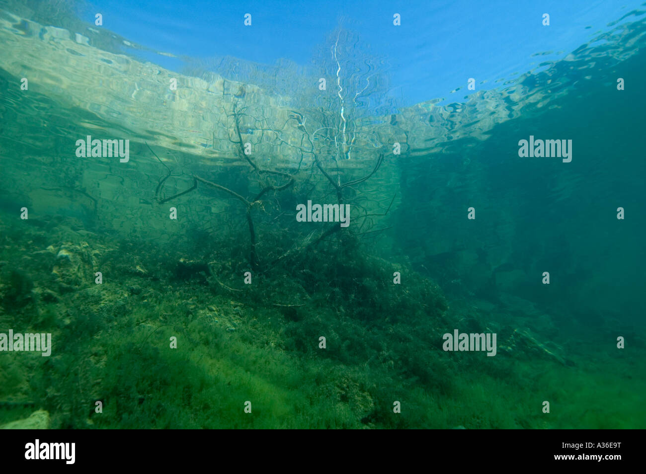Underwater Scénic Foto de stock