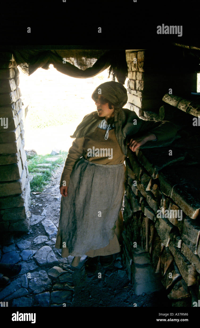Mujer en alineada medieval foto de archivo. Imagen de traje - 73531870