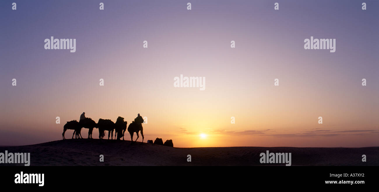 Vista panorámica de los Beduinos y camellos al atardecer, Douz con, el desierto del Sahara, Túnez, África del Norte Foto de stock