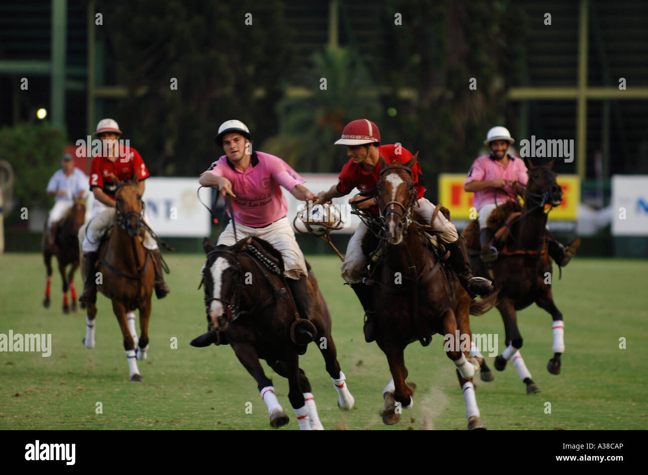 Pato de pelota de deporte fotografías e imágenes de alta resolución Alamy