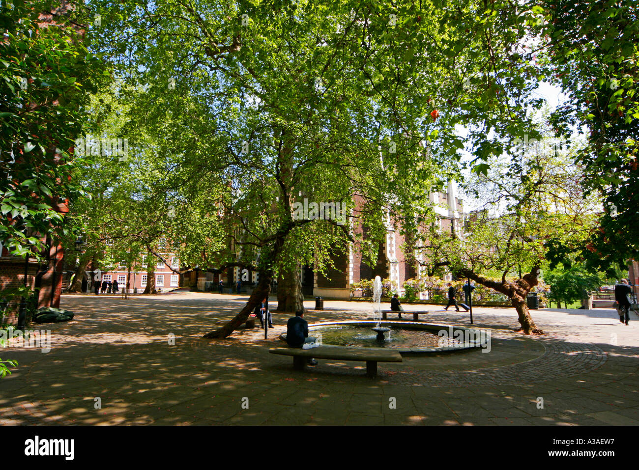 Los trabajadores para encontrar paz y tranquilidad bajo el árbol por la fuente en Middle Temple en Londres Foto de stock