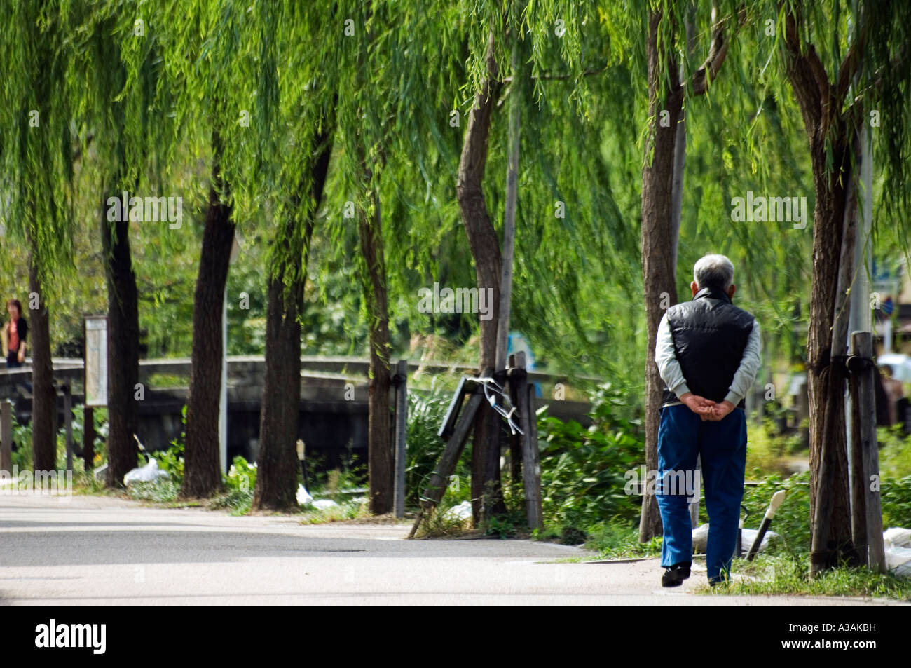 Hombre caminando sobre la orilla bajo sauces Kioto Asia Japón Foto de stock