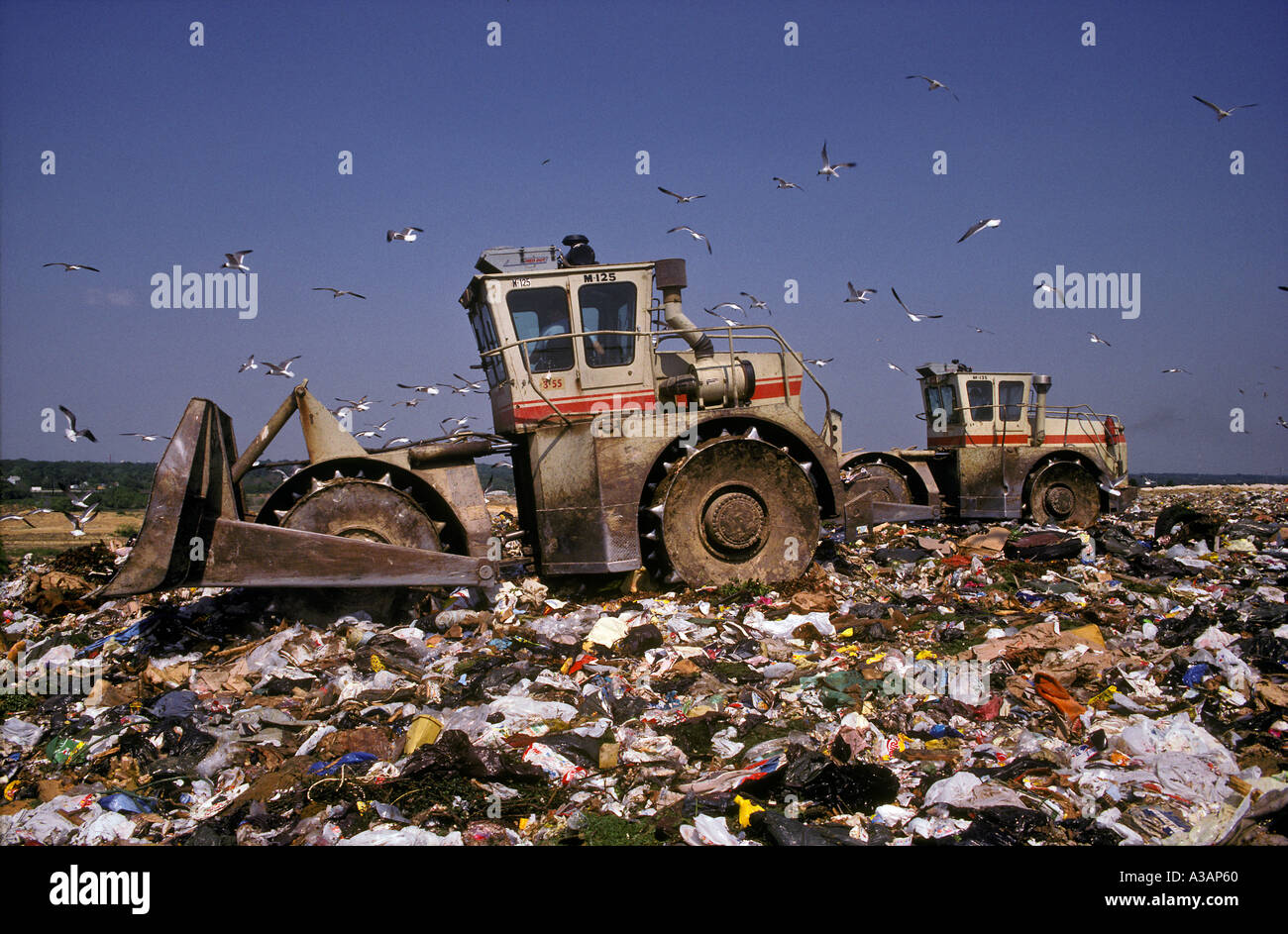 Ovejas Pies Dozers propagación la basura en el Vertedero PA Foto de stock