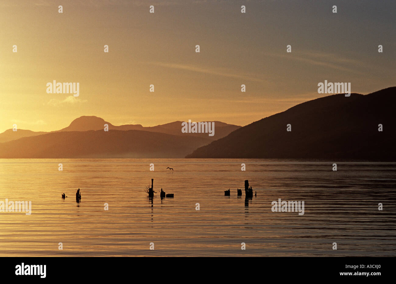 Vista panorámica al atardecer de Loch Ness de dores en las Tierras Altas de Escocia. Foto de stock
