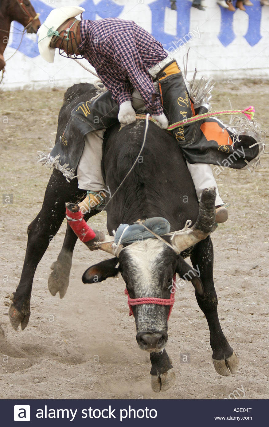 Rodeo Mexicano Jaripeo Grandes Toros Y Mejores Jinetes Se Dan Cita