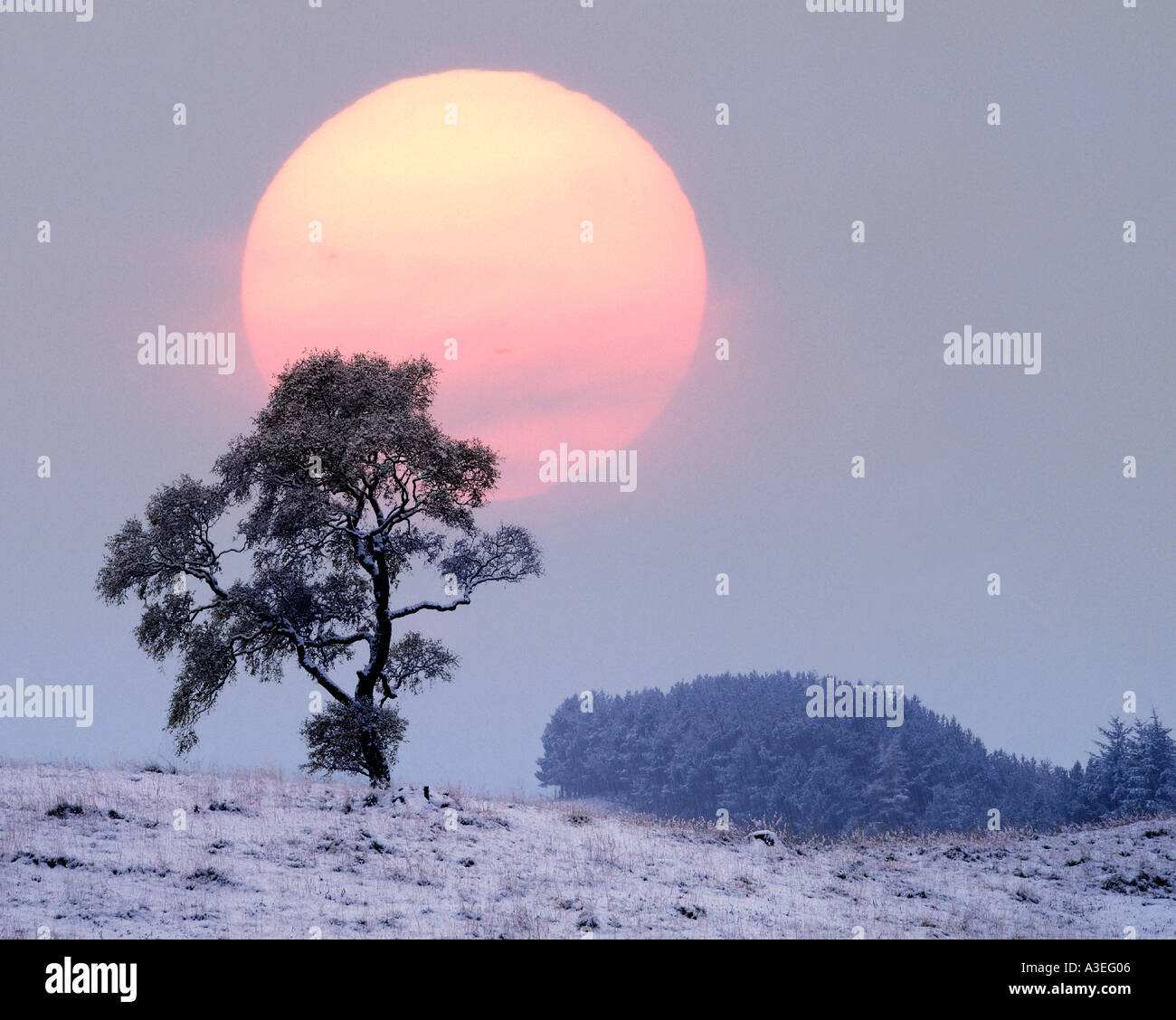 GB - Escocia: Invierno en Glen Lochsie Foto de stock