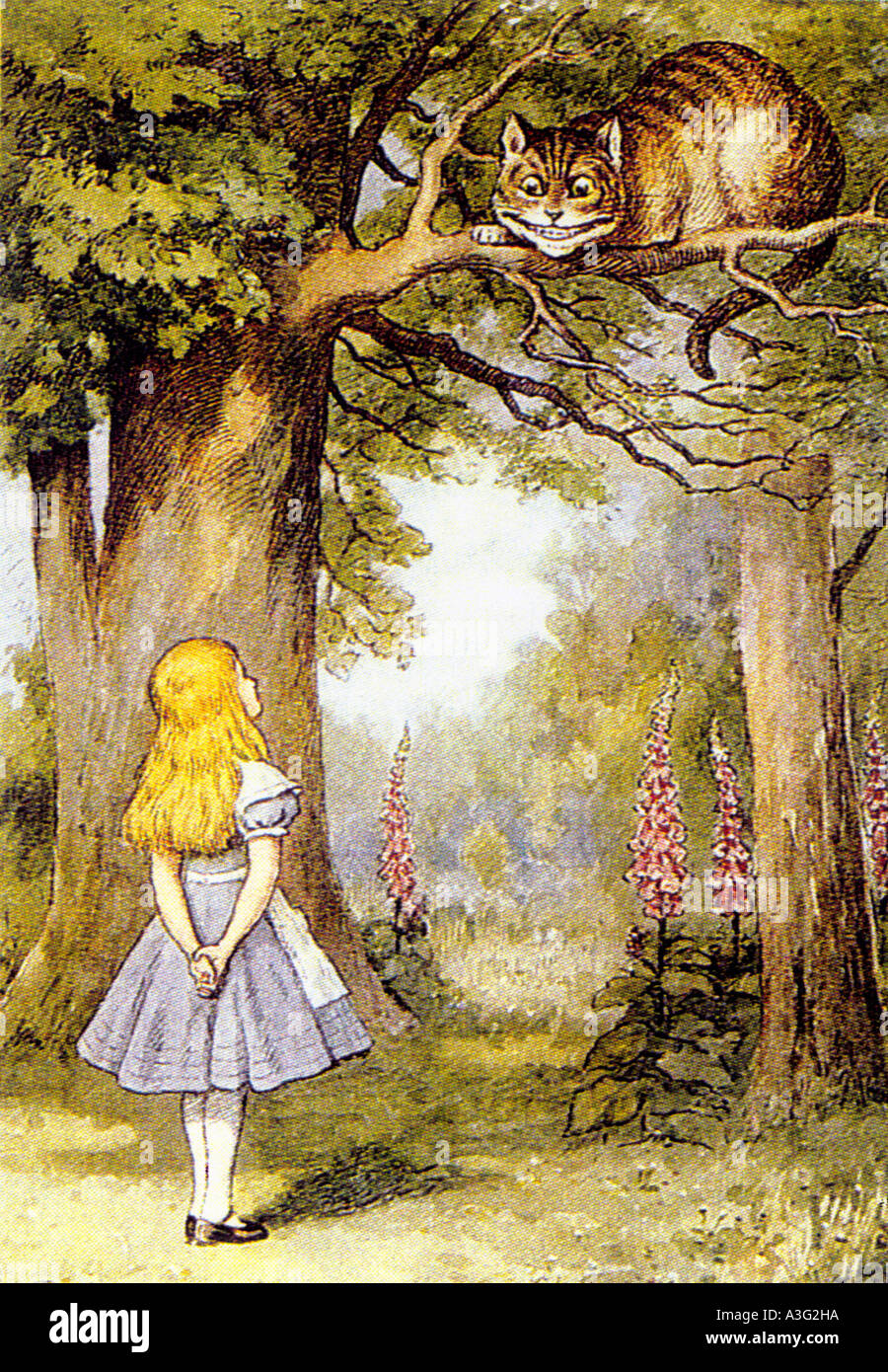 ALICE IN WONDERLAND Ilustración por Tenniel en 1907 edición del libro por Louis Carroll en el que Alice reúne el gato de Cheshire Foto de stock