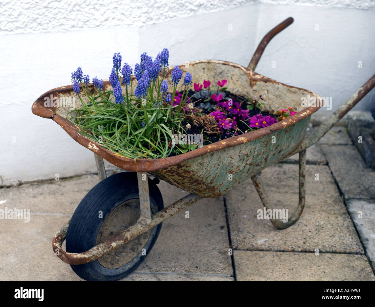 Carretilla con flores Fotografía de stock - Alamy