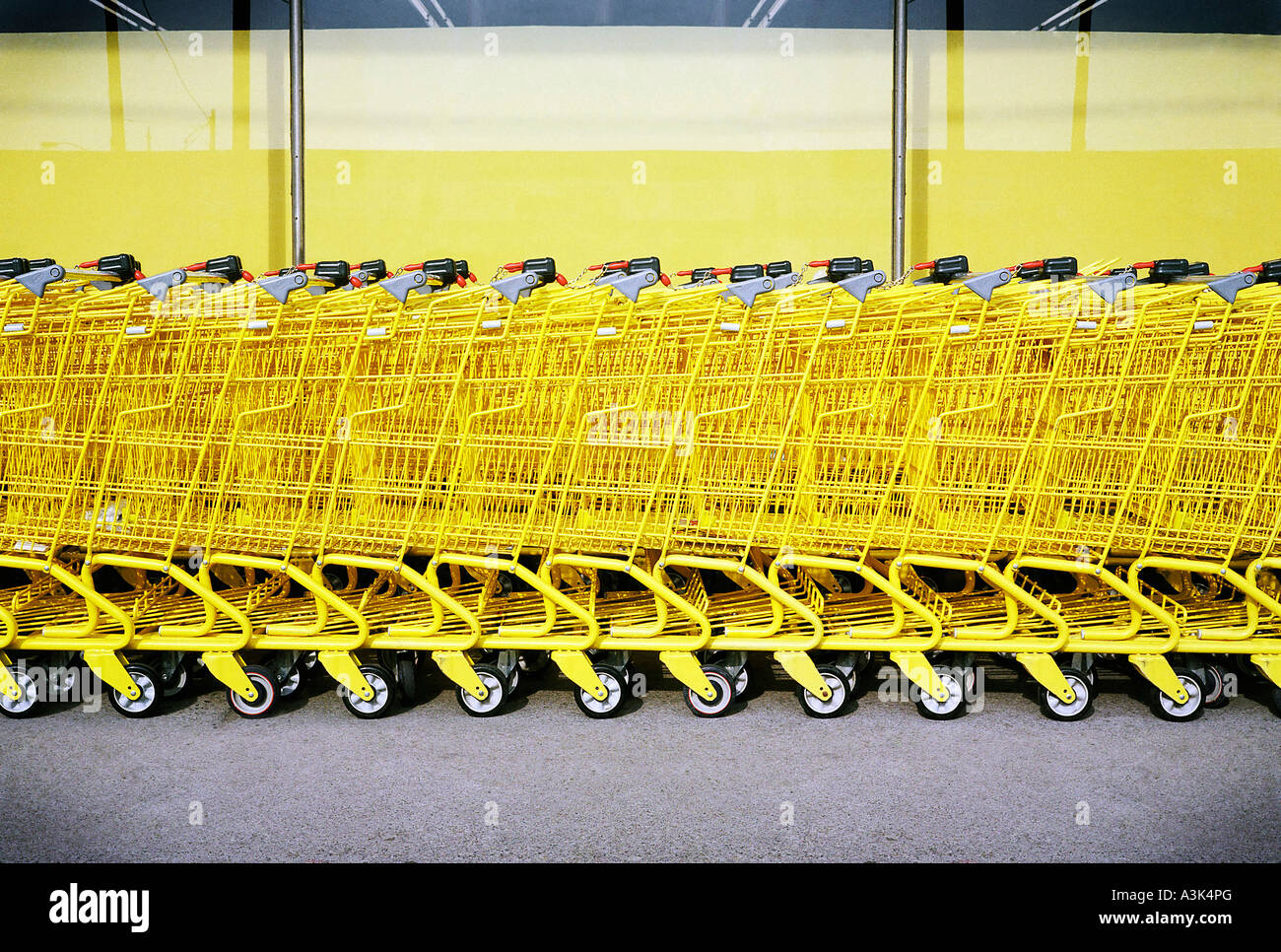 Fila de amarillo Shopping Carts Fotografía de stock - Alamy