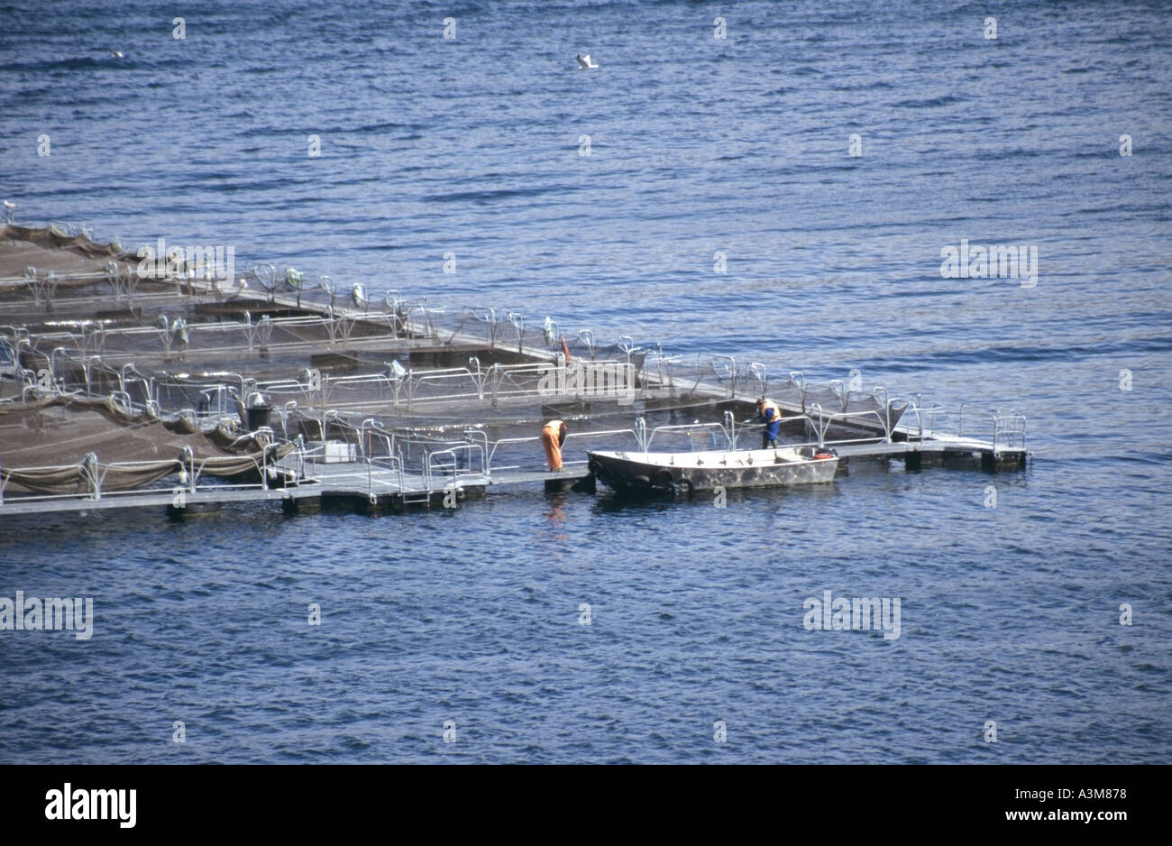 Loch Ainort Isla de Skye pequeño barco amarrado junto a la granja de pescado salmón corrales flotantes Foto de stock