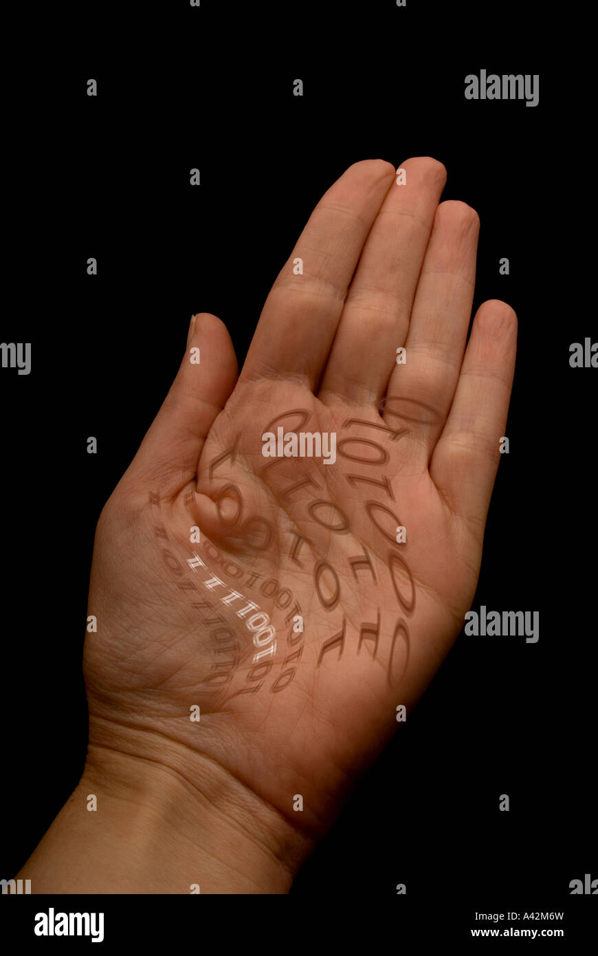La mano humana con código binario en palm Foto de stock